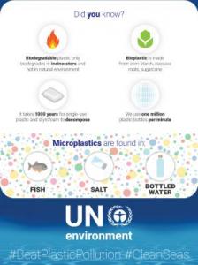 Alternatives infographic 3